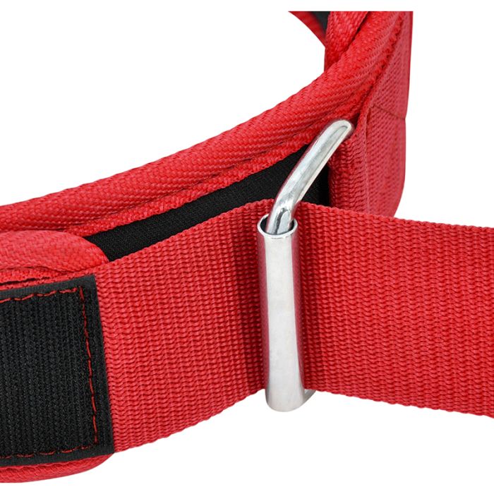 RDX RX5 Weightlifting Belt - Image 50
